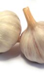 Buying and Storing Garlic